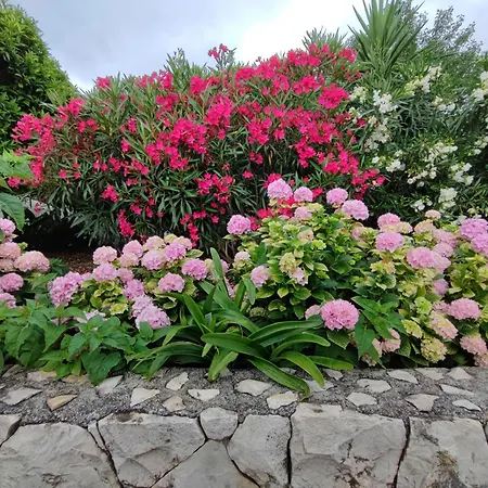 Soric * Трогир